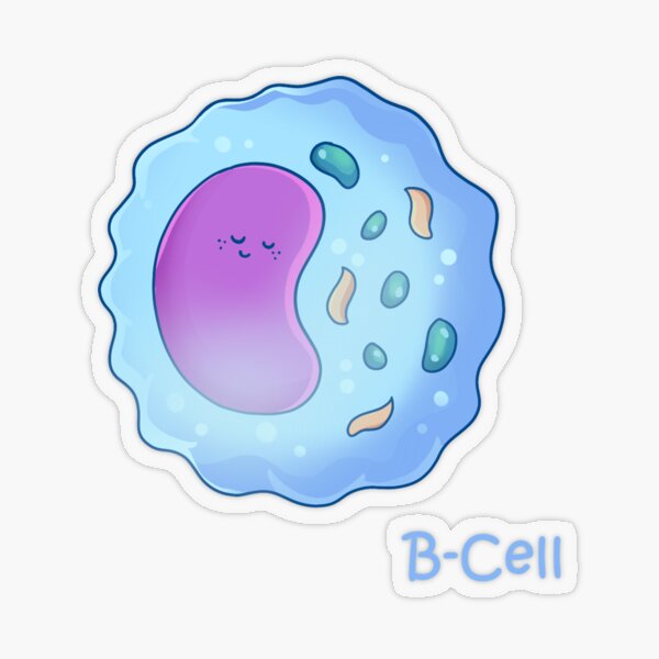 B-Zelle Transparenter Sticker