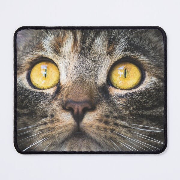 Item preview, Cat Pet Animal Portrait designed and sold by MonArtisteSam.