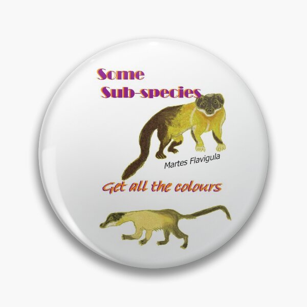 Item preview, Some Sub-species get all the colours, yellow throated marten designed and sold by NatureDesigned.