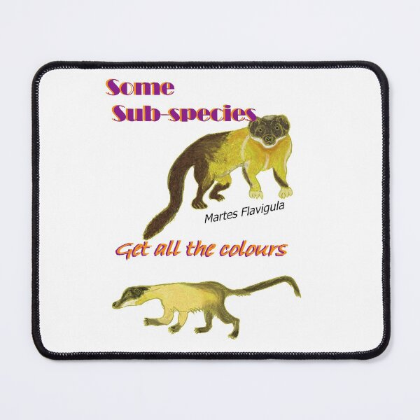 Item preview, Some Sub-species get all the colours, yellow throated marten designed and sold by NatureDesigned.
