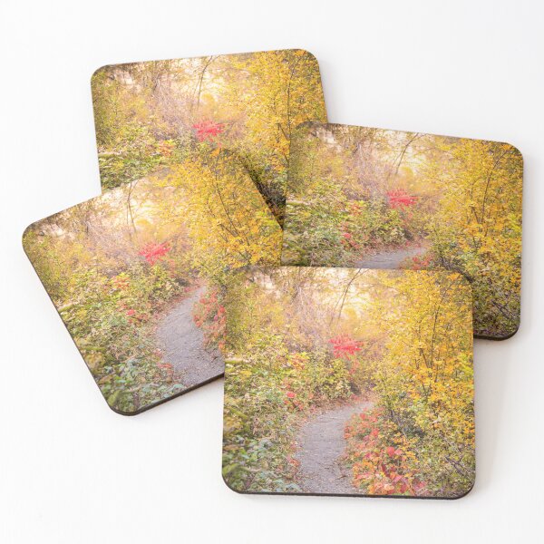 Item preview, Pathway Through Autumn Woods in October designed and sold by Amy Mitchell.