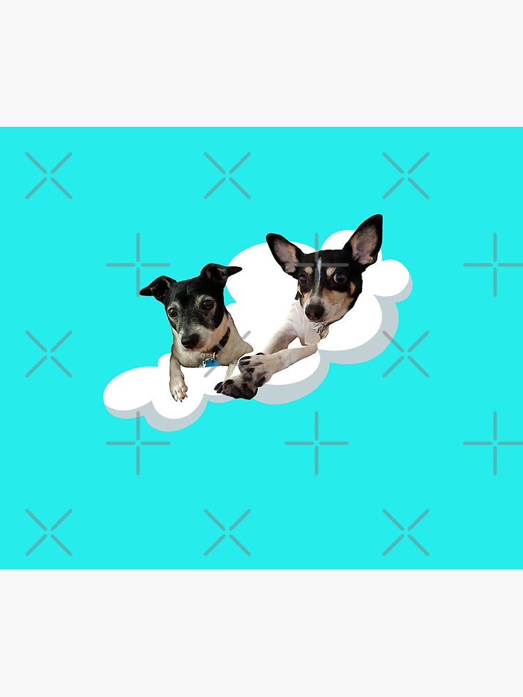 Carl and Penny on a Cloud by willpate