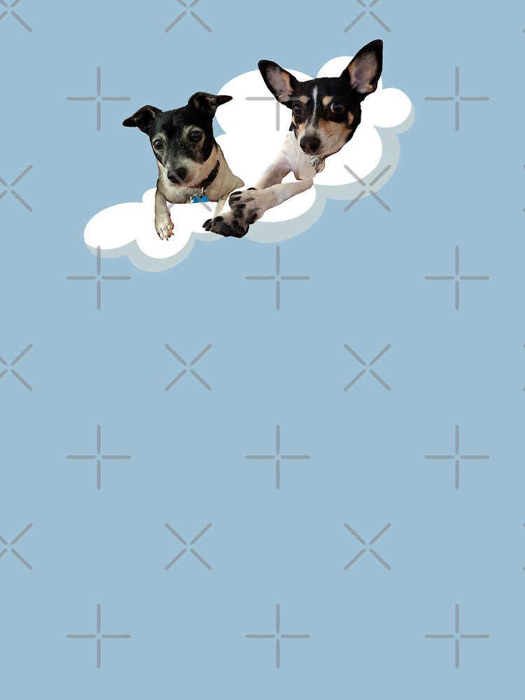 Carl and Penny on a Cloud by willpate