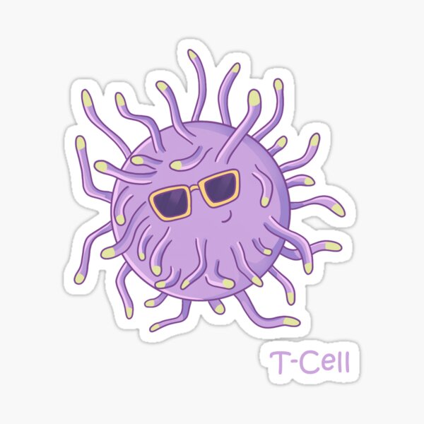 "T cell" Sticker by BiocraftLab | Redbubble