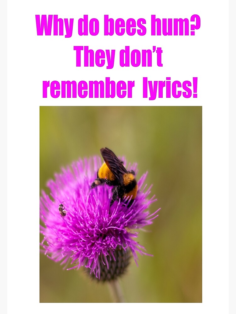 "WHY DO BEES HUM" Poster by CUTESTUFFnow Redbubble