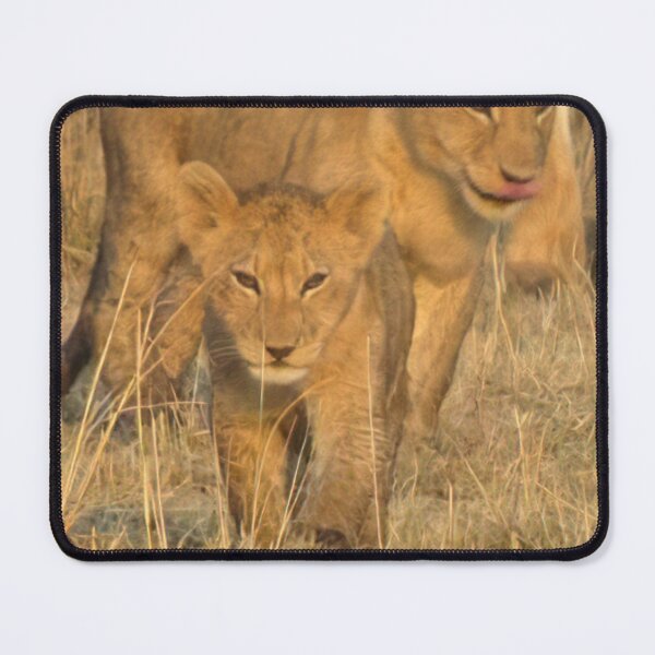Item preview, Lion Cubs designed and sold by Mrspink16.