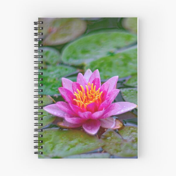 Artikelvorschau, Lily im Teich entworfen und verkauft von Tabowley.