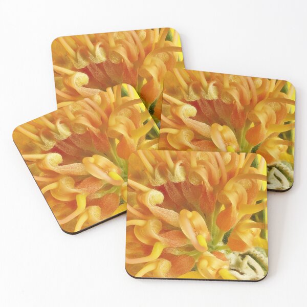 Artikelvorschau, Grevillea 'Apricot Glow' Blume entworfen und verkauft von NanaRusty.