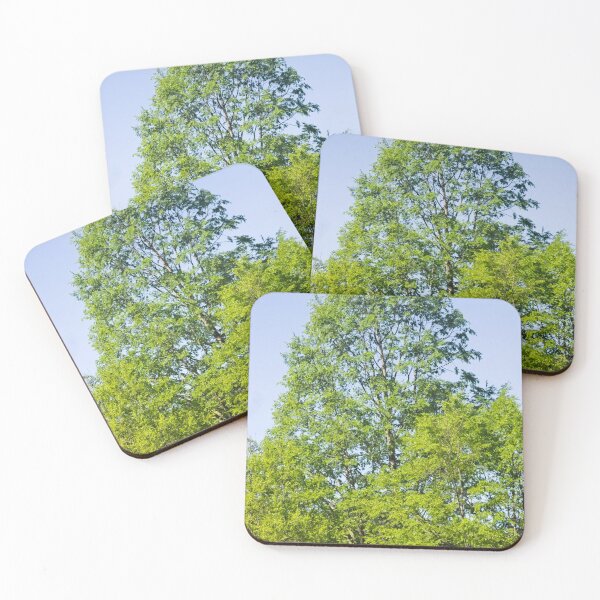 Item preview, elb oak tree designed and sold by pcfyi.