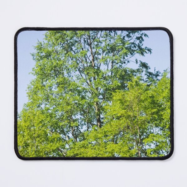 Item preview, elb oak tree designed and sold by pcfyi.