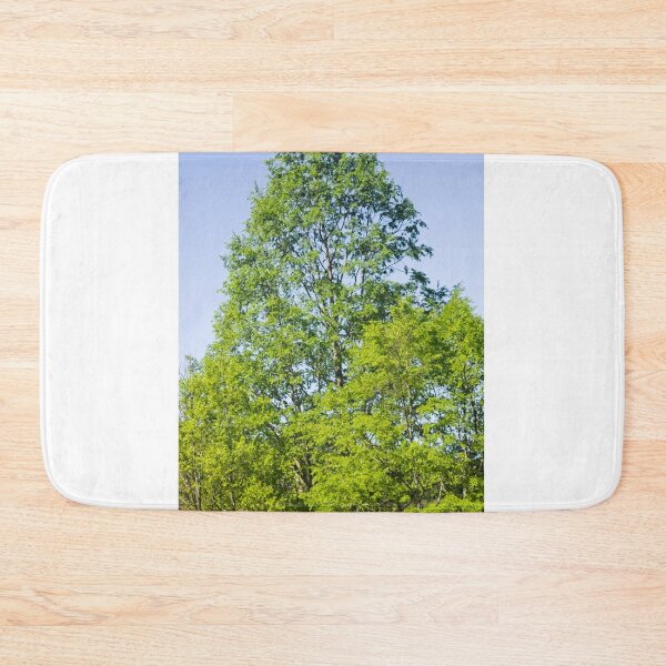 Item preview, elb oak tree designed and sold by pcfyi.