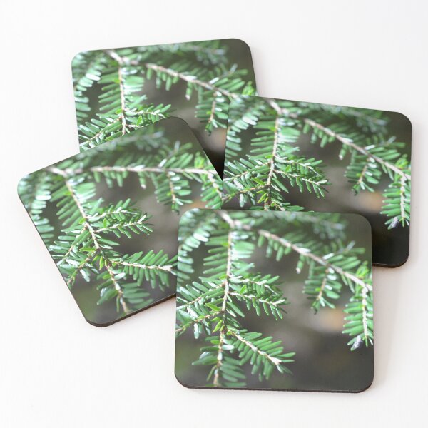 Item preview, Sunlight on a hemlock designed and sold by NorthernSnappy.