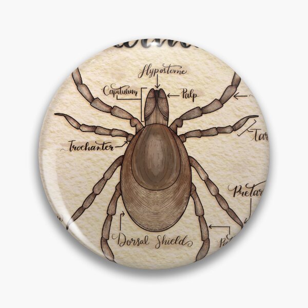Item preview, Tick Anatomy  designed and sold by Lauren-Cthulu.