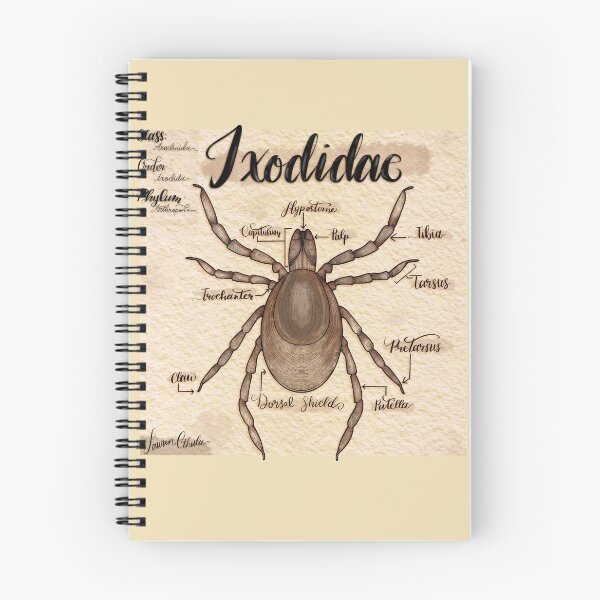 Item preview, Tick Anatomy  designed and sold by Lauren-Cthulu.