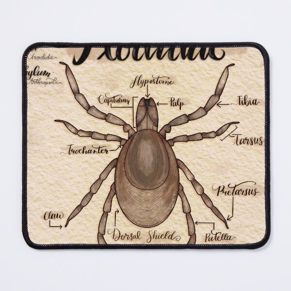 Item preview, Tick Anatomy  designed and sold by Lauren-Cthulu.