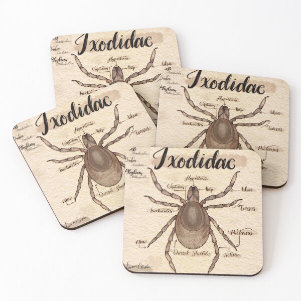 Item preview, Tick Anatomy  designed and sold by Lauren-Cthulu.