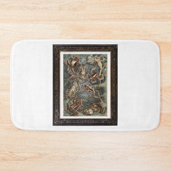 Item preview, Zoological board Batrachians - Zoological designs and zoology boards designed and sold by AdvanceDesign.