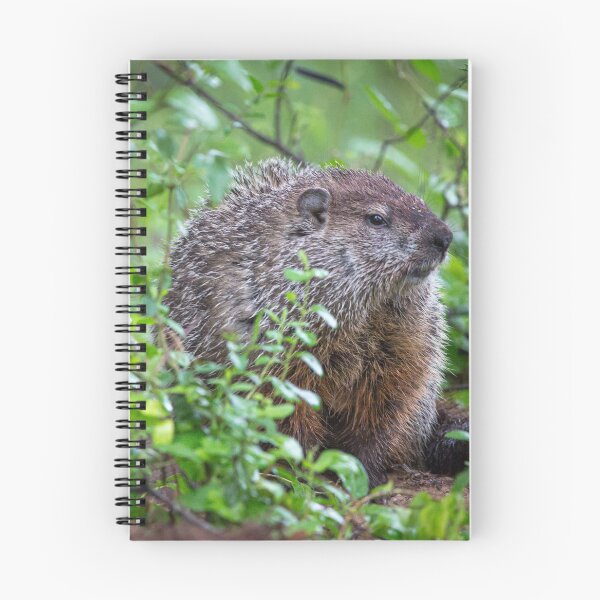 Item preview, Groundhog Day designed and sold by SuzannemorriS.