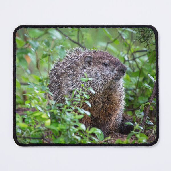 Item preview, Groundhog Day designed and sold by SuzannemorriS.