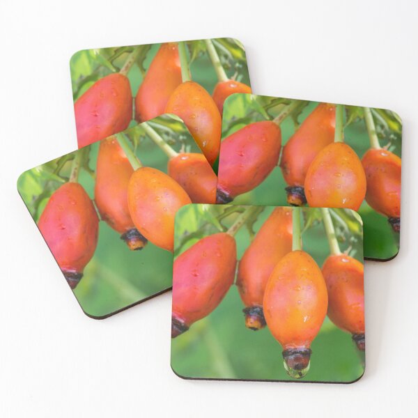 Item preview, Four Dewy Rosehips designed and sold by Bill Spengler's Photographic Thoughts.