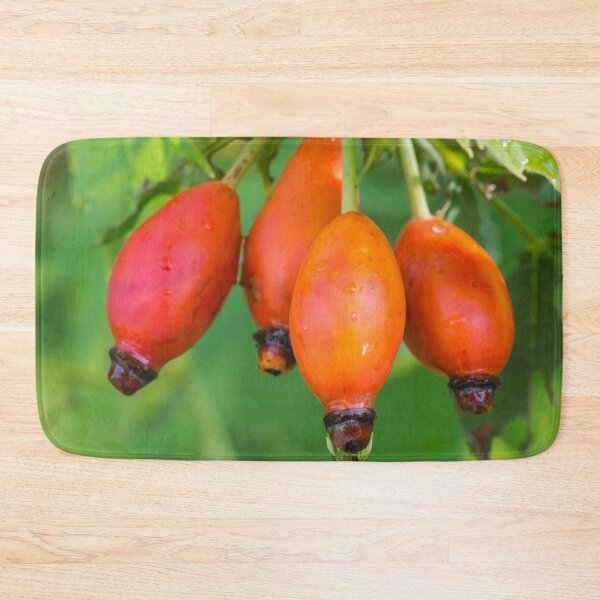 Item preview, Four Dewy Rosehips designed and sold by Bill Spengler's Photographic Thoughts.