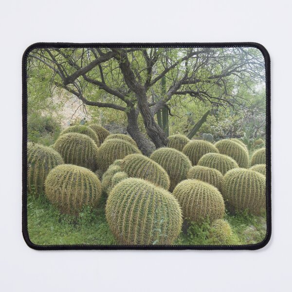 Item preview, Barrel Cacti Under Palo Verde Tree designed and sold by Kathleen Brant.