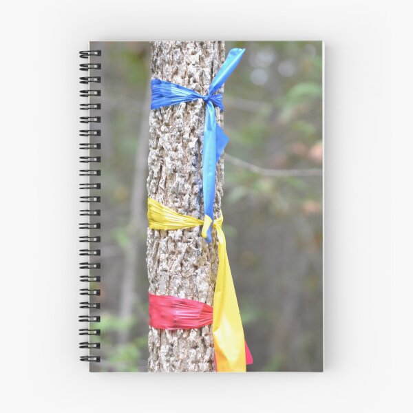 Item preview, Which trail should we take? designed and sold by NorthernSnappy.