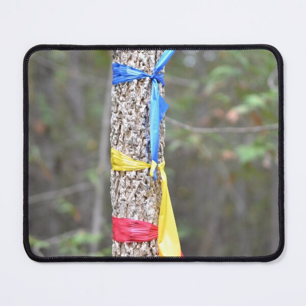 Item preview, Which trail should we take? designed and sold by NorthernSnappy.