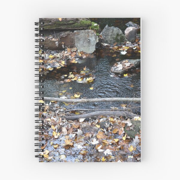 Item preview, Beautiful pond deep in the woods designed and sold by NorthernSnappy.