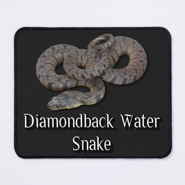 Item preview, Diamondback Water Snake designed and sold by Paul-Prints.