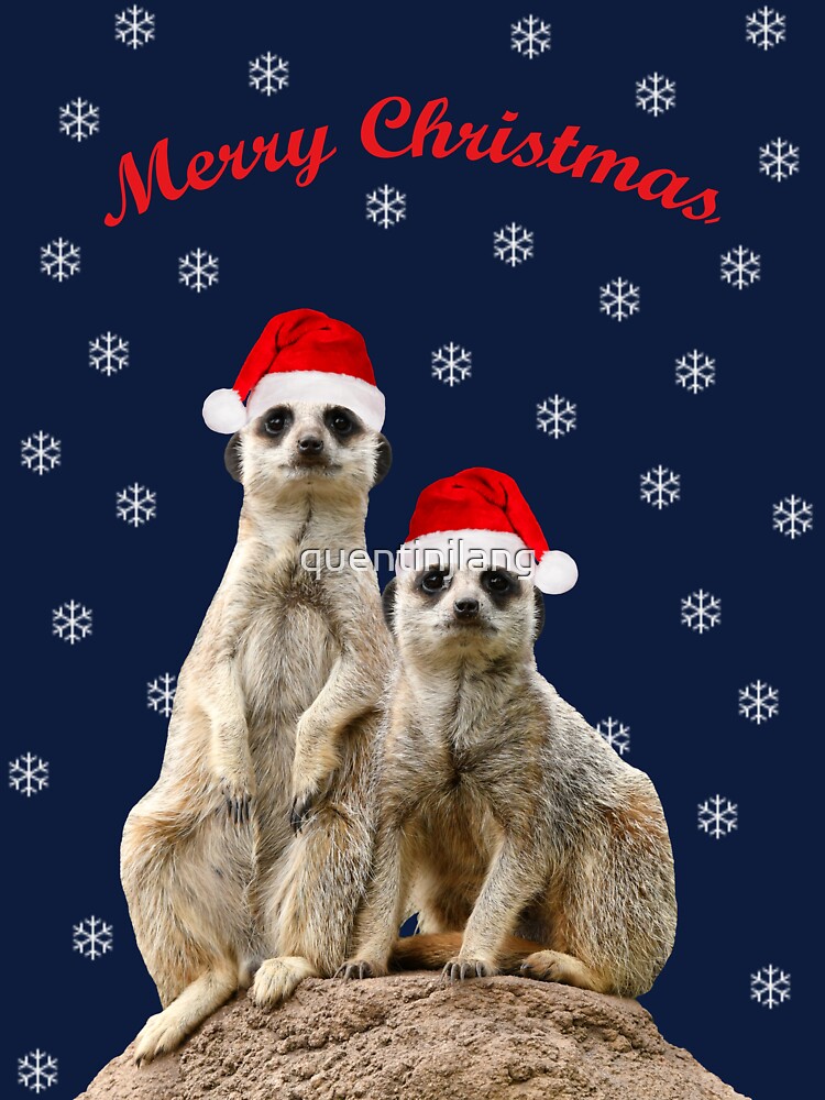 Merry Christmas Meerkats 3 by quentinjlang