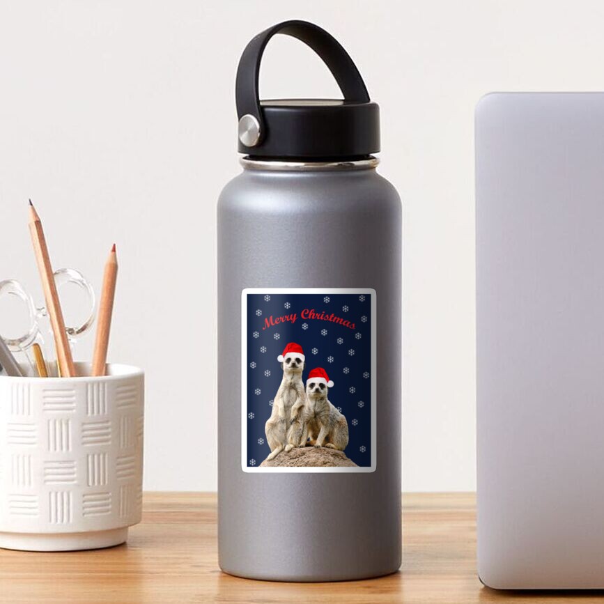 Merry Christmas Meerkats 3 Sticker
