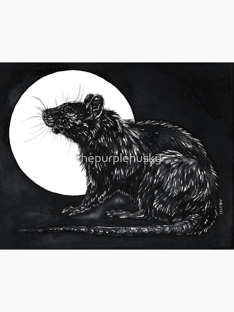 Moon Rat by thepurplehusky