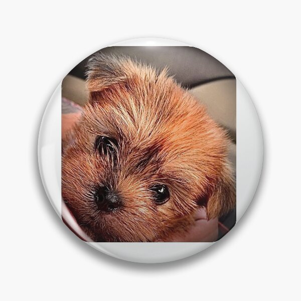 Item preview, Yorkie Puppy makes your Day!  designed and sold by BasketKisses.