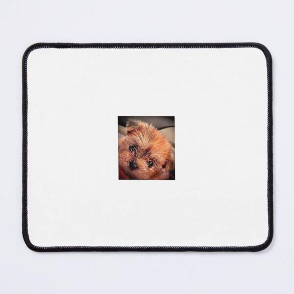 Item preview, Yorkie Puppy makes your Day!  designed and sold by BasketKisses.