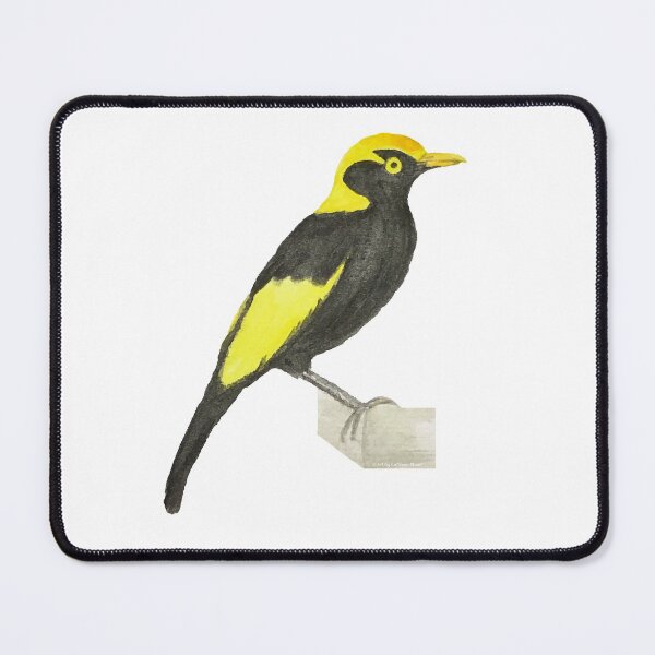 Item preview, Regent Bower Bird - Watercolour Print designed and sold by Art by Kathleen Stuart.