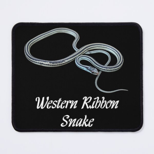Item preview, Western Ribbon Snake designed and sold by Paul-Prints.