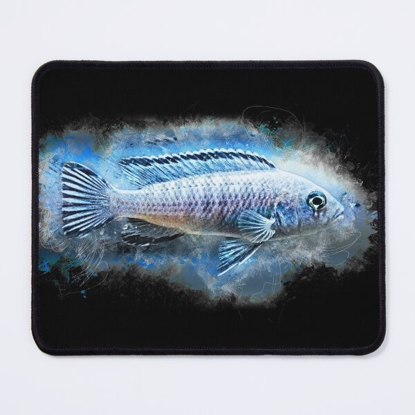 Item preview, Ice blue mouthbrooder - Pseudotropheus socolofi designed and sold by AquariumLutter.