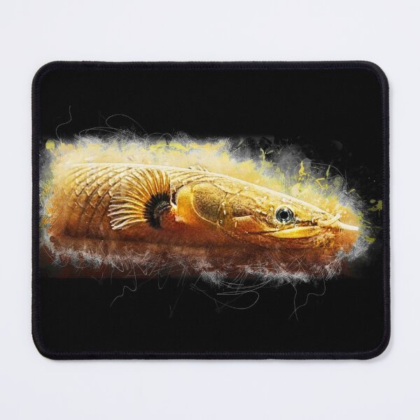 Item preview, Flösselaal - Erpetoichthys calabaricus designed and sold by AquariumLutter.