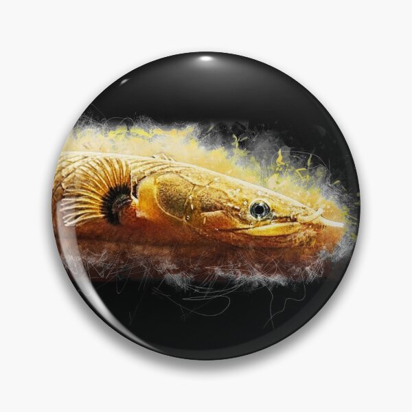 Item preview, Flösselaal - Erpetoichthys calabaricus designed and sold by AquariumLutter.