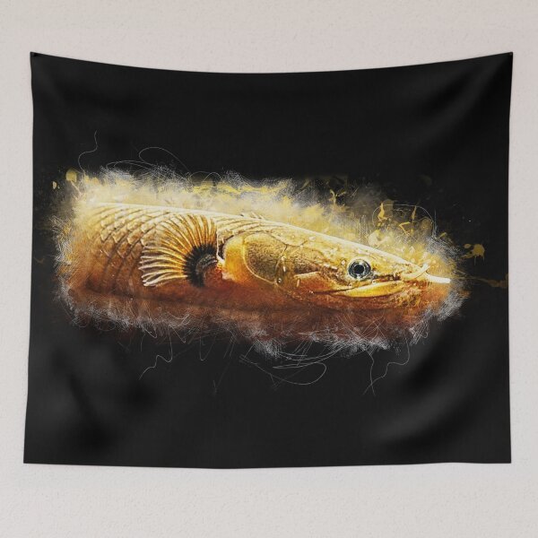 Item preview, Flösselaal - Erpetoichthys calabaricus designed and sold by AquariumLutter.