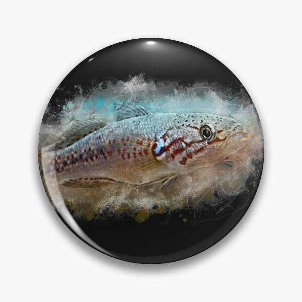 Item preview, Fruata Sleeper Goby - Mogurnda fruata designed and sold by AquariumLutter.