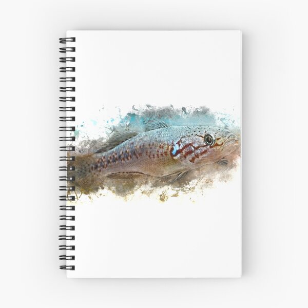 Item preview, Fruata Sleeper Goby - Mogurnda fruata designed and sold by AquariumLutter.