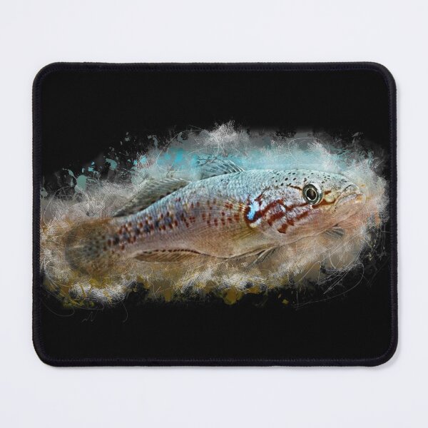 Item preview, Fruata Sleeper Goby - Mogurnda fruata designed and sold by AquariumLutter.