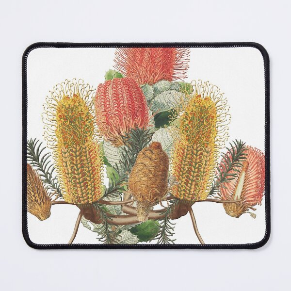 Item preview, Red and Yellow Banksia bunch designed and sold by Margaret Kalms.