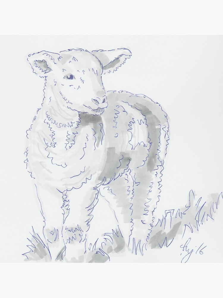 Sheep sketch style. Hand drawn illustration of... - Stock Illustration  [85628689] - PIXTA