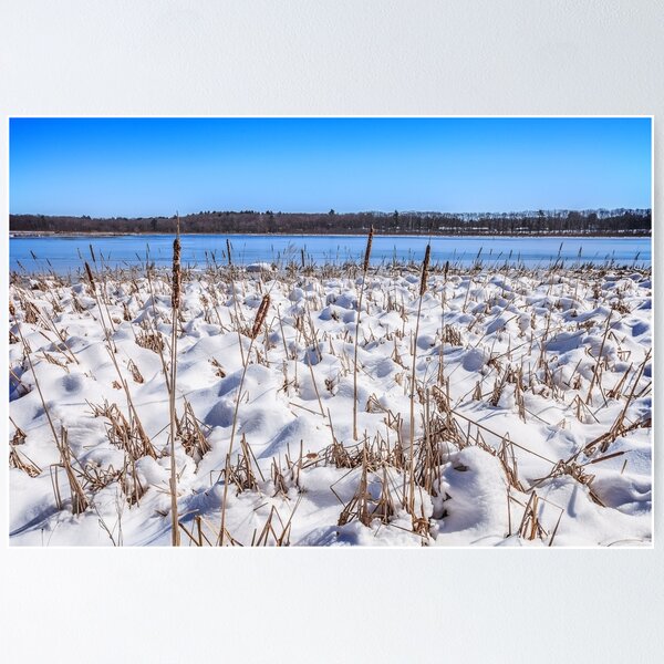 Item preview, Cattail and Snowdrift Blues designed and sold by Owed To Nature.