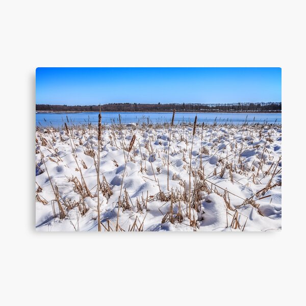 Item preview, Cattail and Snowdrift Blues designed and sold by Owed To Nature.