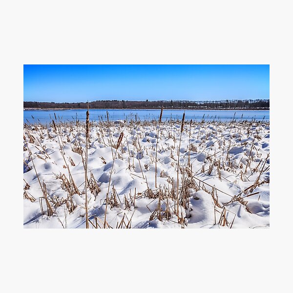 Item preview, Cattail and Snowdrift Blues designed and sold by Owed To Nature.