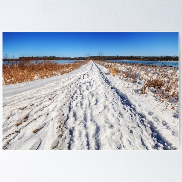 Item preview, Long winter's walk designed and sold by Owed To Nature.